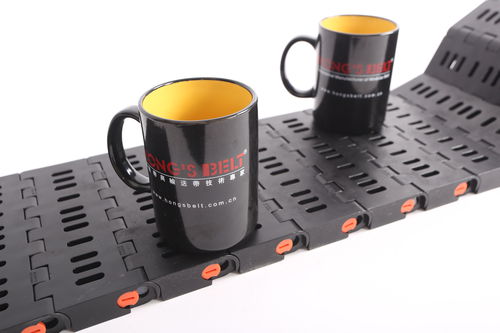 Modular conveyor belt - HS-1800B/63.5MM - Huanan Xinhai (Shenzhen) Technology Co.,Ltd.