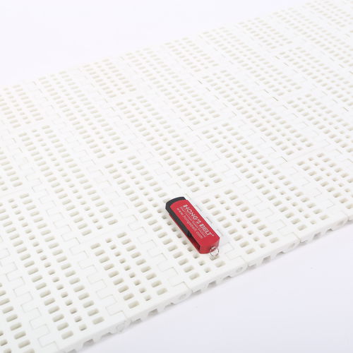 Modular conveyor belt - HS-100B/50.8MM - Huanan Xinhai (Shenzhen) Technology Co.,Ltd. - plastic / process / for vegetables