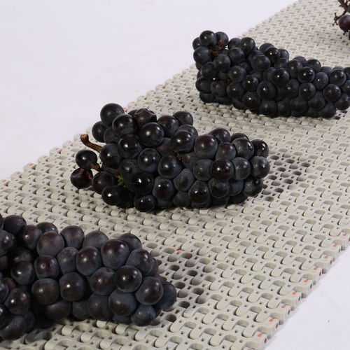 Flexible conveyor belt - HS-501B /25.4mm picth - Huanan Xinhai (Shenzhen) Technology Co.,Ltd. - modular / POM / PP