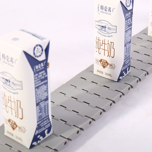 Modular conveyor belt - HS-502A-83GB /25mm picth - Huanan Xinhai (Shenzhen) Technology Co.,Ltd. - POM / PP / PA