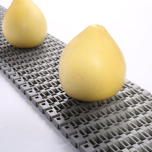 Modular conveyor belt - HS-1700B/38.1mm picth - Huanan Xinhai (Shenzhen) Technology Co.,Ltd. - POM / PP / PA