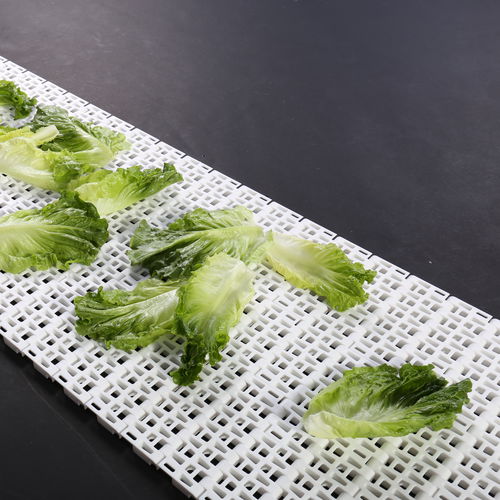 Modular conveyor belt - HS-900B / 50.8mm picth - Huanan Xinhai (Shenzhen) Technology Co.,Ltd. - POM / PP / PA