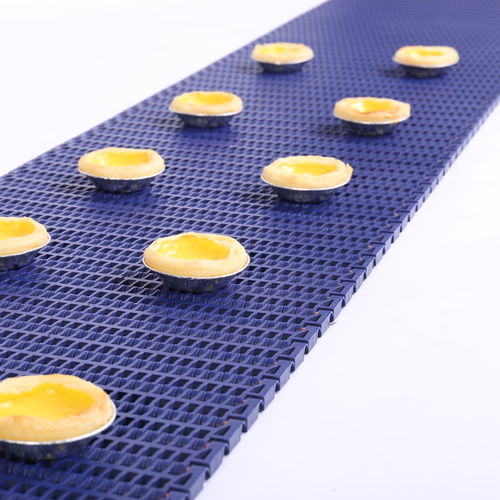 Modular conveyor belt - HS-700B - Huanan Xinhai (Shenzhen) Technology Co.,Ltd. - POM / PP / PA