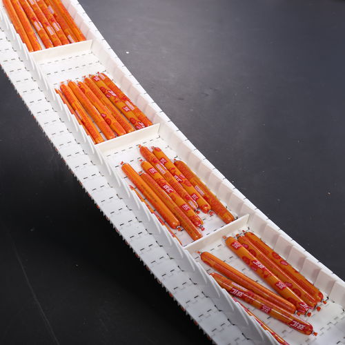 Modular conveyor belt - HS-200A - Huanan Xinhai (Shenzhen) Technology Co.,Ltd. - PP / nylon / industrial