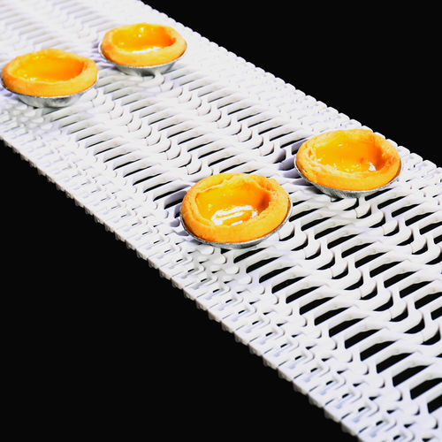 冲洗网格传送带