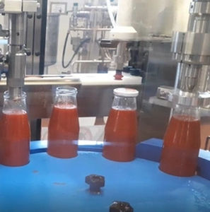 Automatic filling and capping machine - MONO 25 - Telm srl - for glass bottles / rotary / volumetric