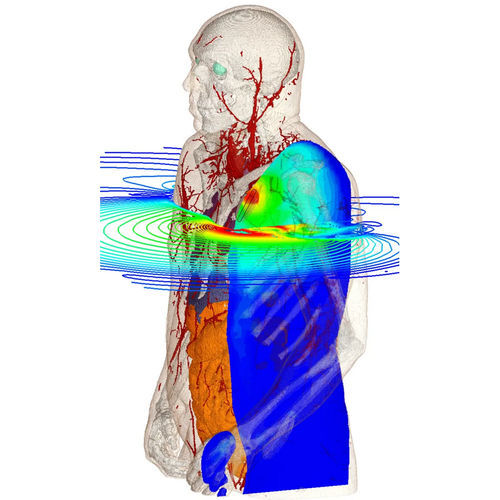 Simulation software - Bioelectromagnetics Simulation - SIMULIA - engineering / for test / modeling