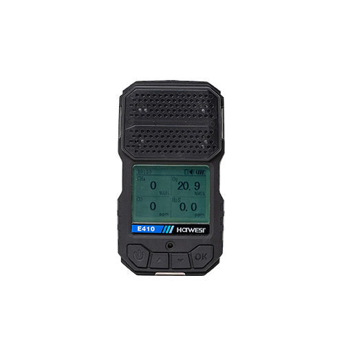 multi-gas detector - Hanwei Electronics Group Corporation
