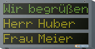 Alphanumeric display - WIBOND Informationssysteme GmbH - RS-232 / RS-485 / PROFIBUS