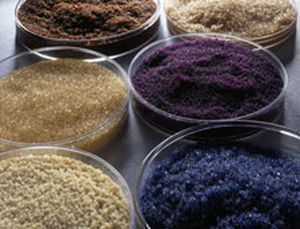 Water treatment resin - Evoqua Water Technologies - ion exchange