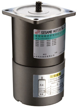 Synchronous brake motor - Sesame Motor Corp. - DC / permanent magnet / IP22