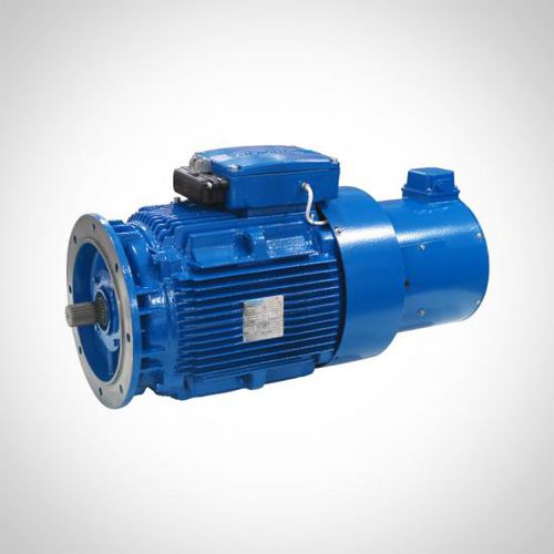 Induction motor - WEAVF&WEVF series - Fuzhou Wonder Electric Co.,Ltd. - three-phase / with brake / IP55