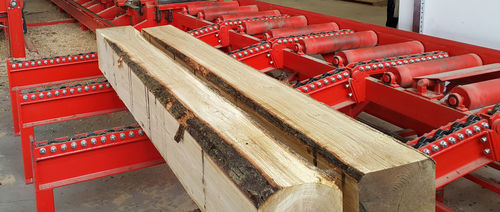 Log conveyor - Wravor d.o.o. - skate wheel / horizontal / transport