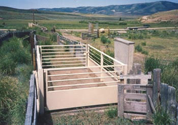 Mechanical scale - S series  - FAIRBANKS - with separate indicator / livestock / floor