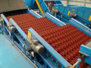 Glass scalper screen - NEWScreen - CP Manufacturing - linear vibrating / for bulk materials
