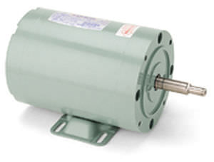 AC motor - LEESON Electric - single-phase / for pump