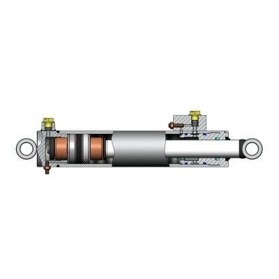 Cylinder with adjustable cushions - CICROSA HIDRAULICA, S.L. - hydraulic / piston / with piston rod
