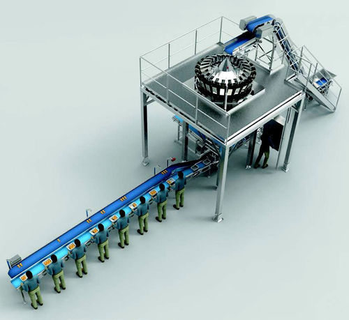 Packaging line for the food industry - Cabinplant A/S - for poultry / meat / automatic