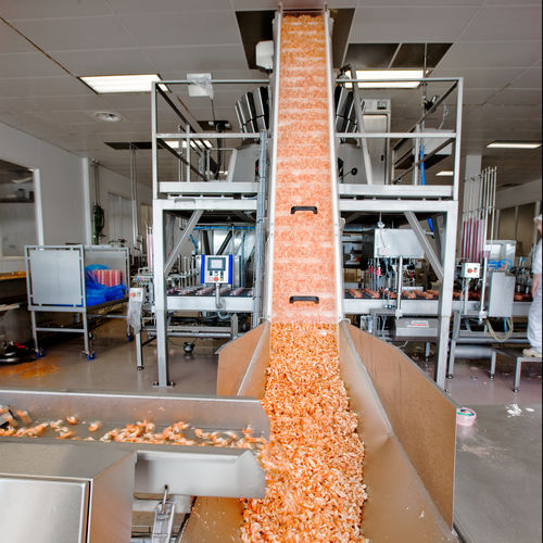 Modular belt conveyor - PM - Cabinplant A/S - curved / inclined / straight