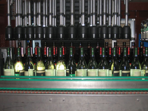 Mixed case case packer - MAS PACK - vertical / pick-and-place / automatic