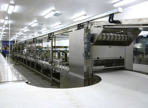 Belt conveyor - Ing. Polin & C. S.p.A. - automatic / dough / process