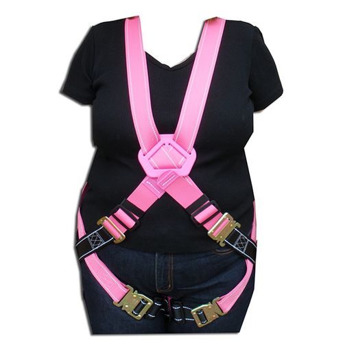 Fallarrest harness NPH30GPG , NPH31GPG dorsal
