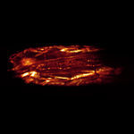 optical microscope