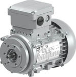 AC motor
