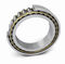 toroidal roller bearingTORBSchaeffler Technologies AG & Co. KG