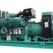 diesel generator set