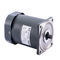 AC motor - 60YS06GV11 - WANSHSIN SEIKOU (HUNAN) CO., LTD. - induction ...