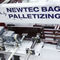 High Level Infeed Palletizer - ARCUS 2000 P/B - NEWTEC BAG PALLETIZING ...