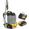 mobile backpack sprayerDCCS1100GH1DEWALT Industrial Tool