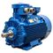 Atex Motor E Cste B Series Cantoni Motor Phase Induction