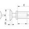 平头铆钉