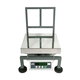 platform scale / kilogram / dual-display / industrial
