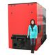 hot water boiler / biomass