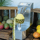 pineapple peeling machine / melon / mango / knife