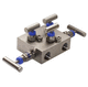 5-way manifold