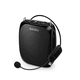 audio amplifier / portable