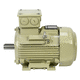 asynchronous motor / AC / cast iron / IP55