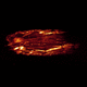 optical microscope / biomedical / medical / upright