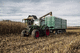 profile trailer / rim / 3-axle / handling