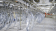 double-rail conveyor / scraper / chain / pneumatic