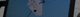 management software / engineering / development / optimization
