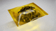 protective film / packaging / polymer / recyclable
