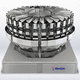 multihead weigher / for the food industry / for fresh products / IP69
