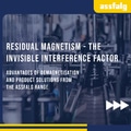 Residual magnetism in the p [...]