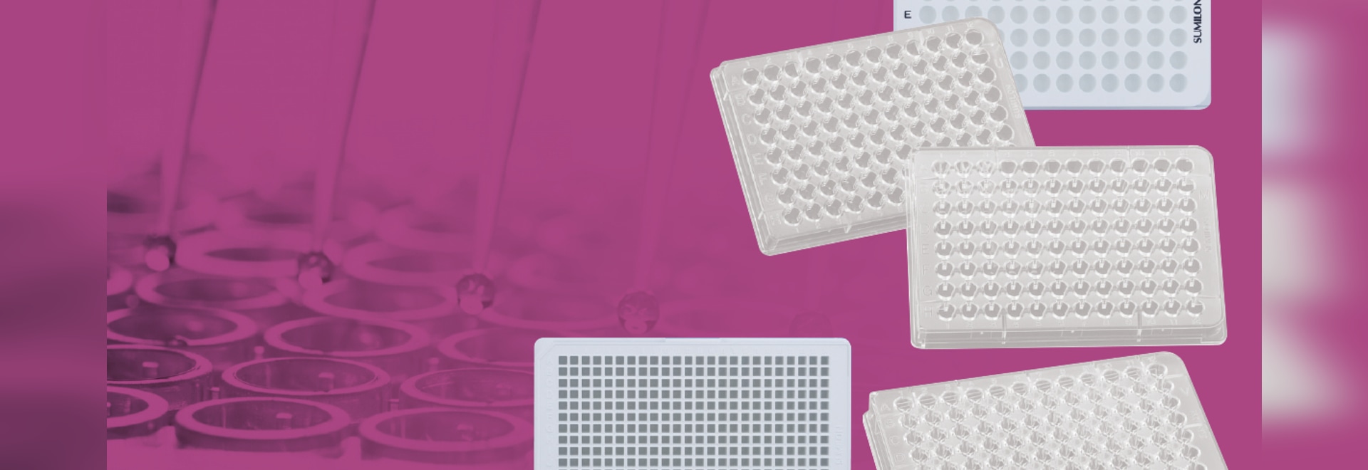 Ultra Low Attachment 3D cell culture plates Nijverheidsweg 120, 4879