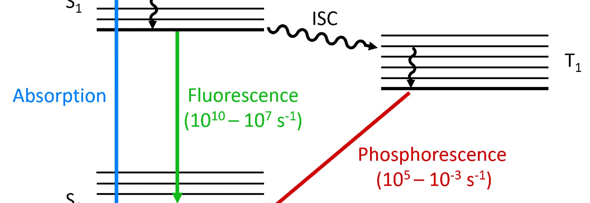 What is the Difference between Luminescence, Photoluminescence, Fluorescence, and
